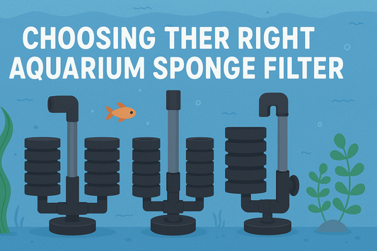 image showing text, how to choose the right aquarium sponge filter