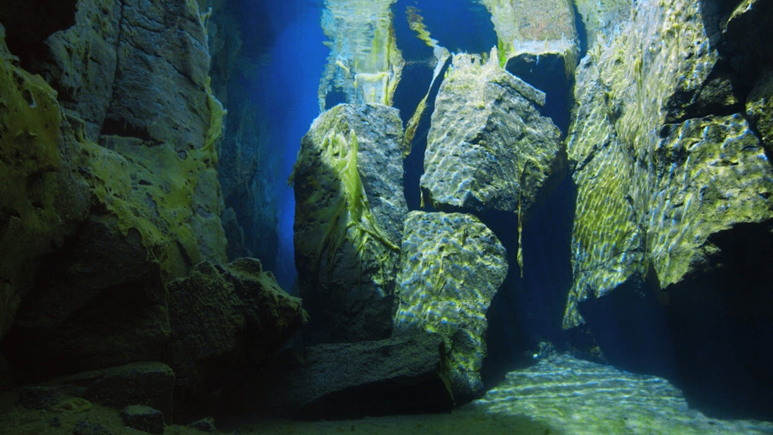 an underwater view of a rock formation in the ocean
