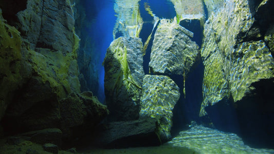 an underwater view of a rock formation in the ocean