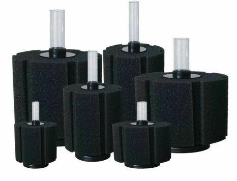 Sponge Filters