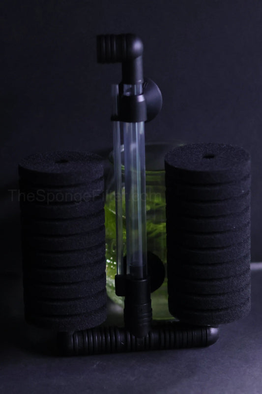 AQ-55D (Up to 55 gallons)