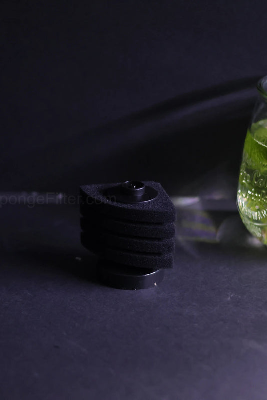 AQ-10C (Up to 10 Gal)