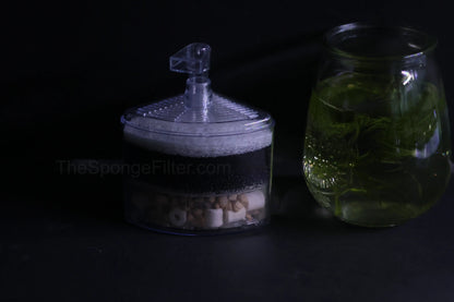 AQ-30C (Up to 30 Gal)