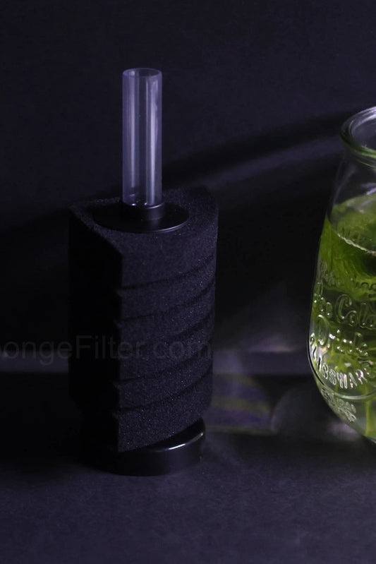 AQ-20C (Up to 20 Gal)