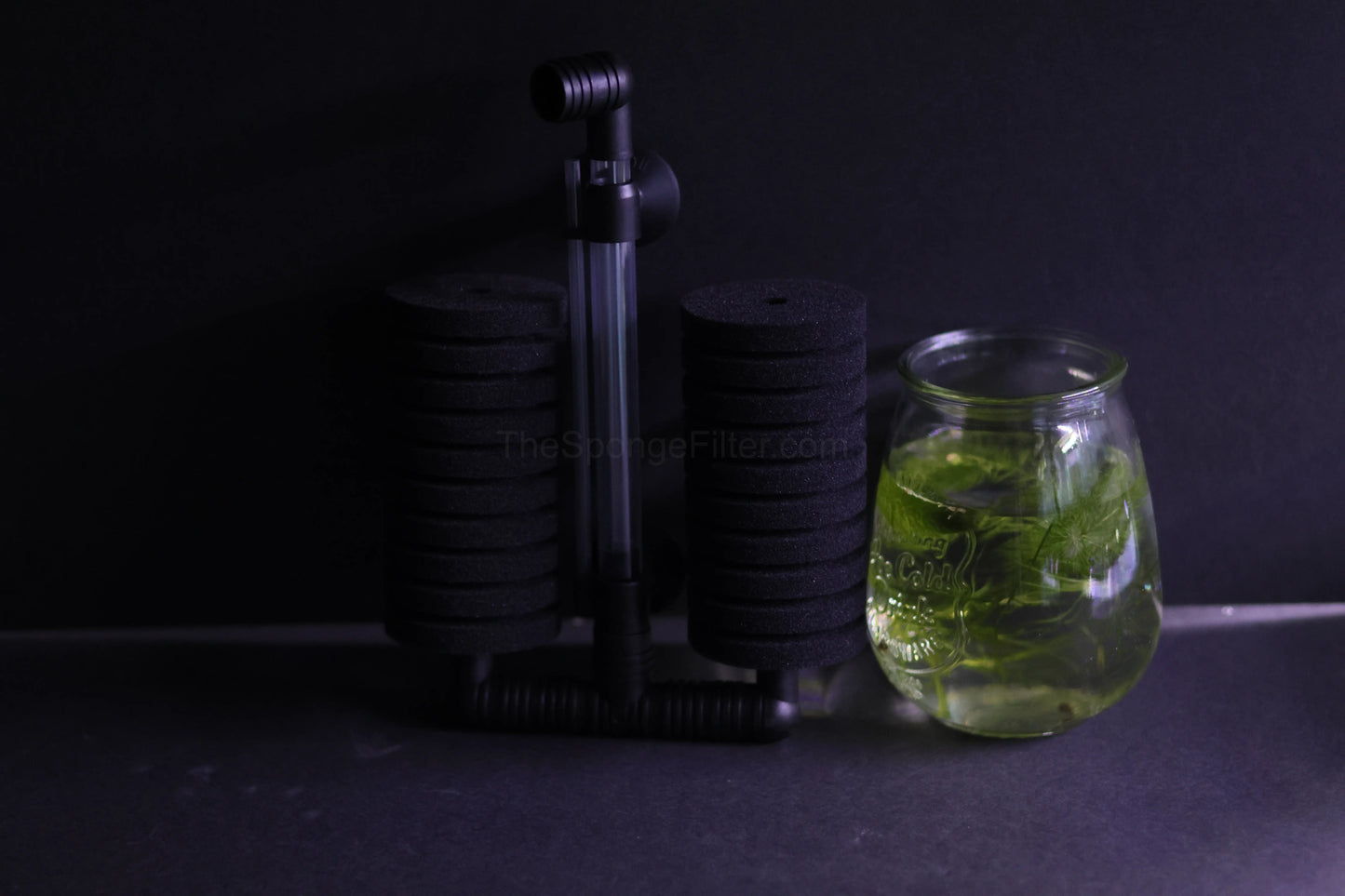 AQ-55D (Up to 55 gallons)